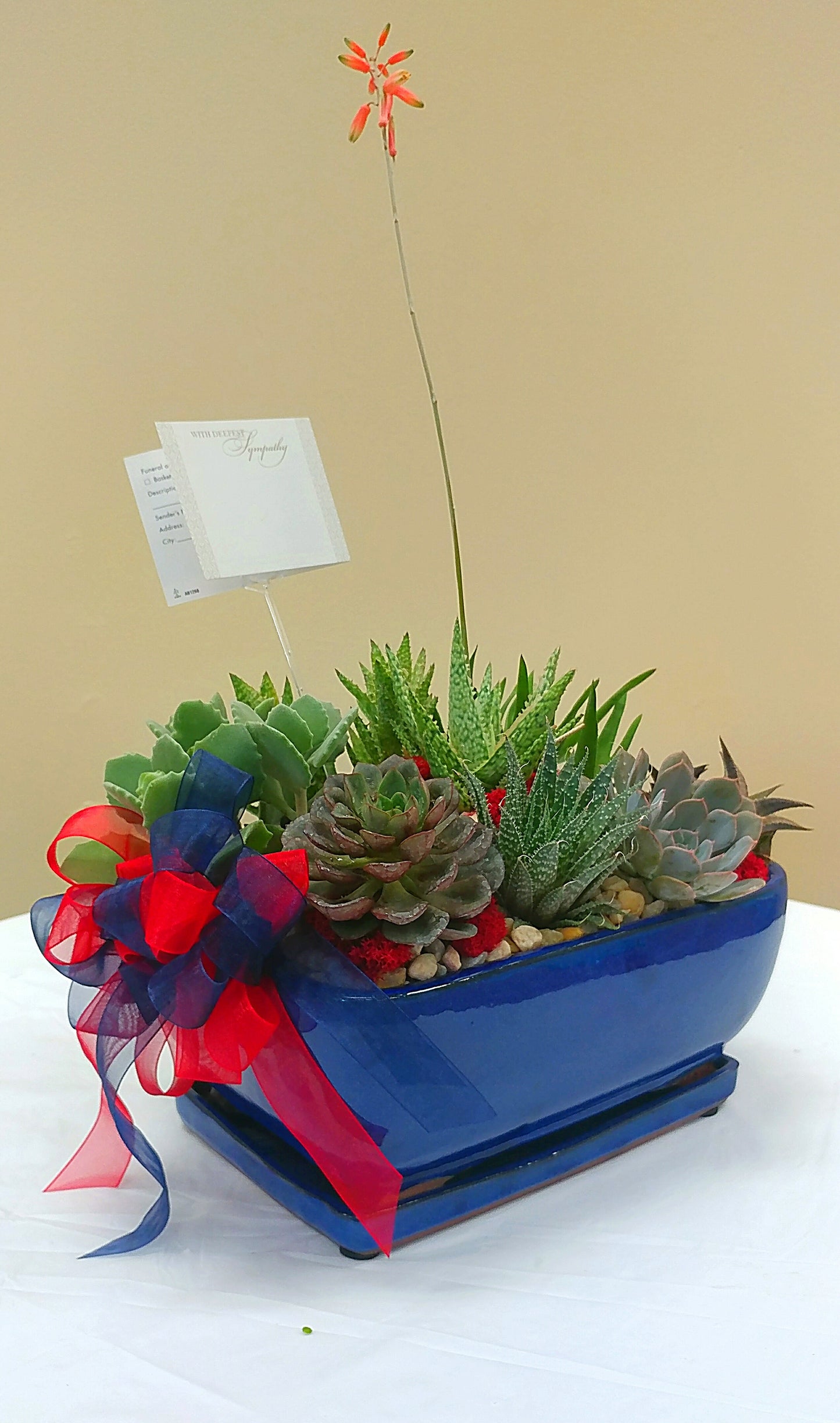 Ceramic Succulent Dish Garden