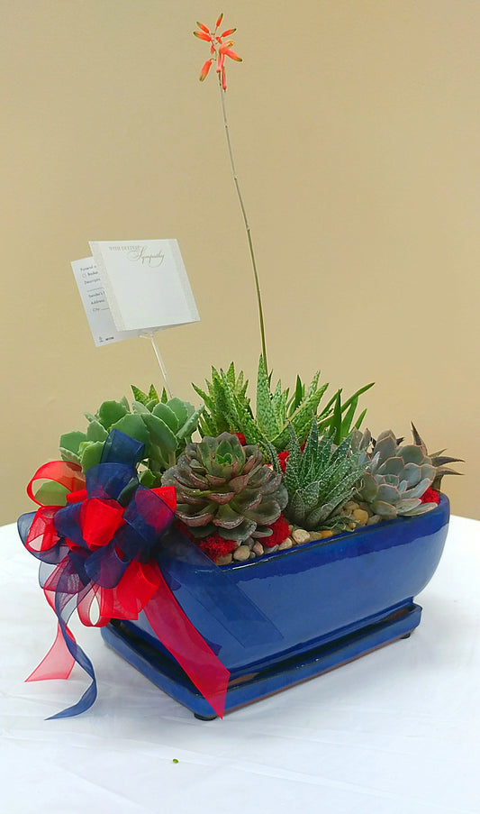 Ceramic Succulent Dish Garden