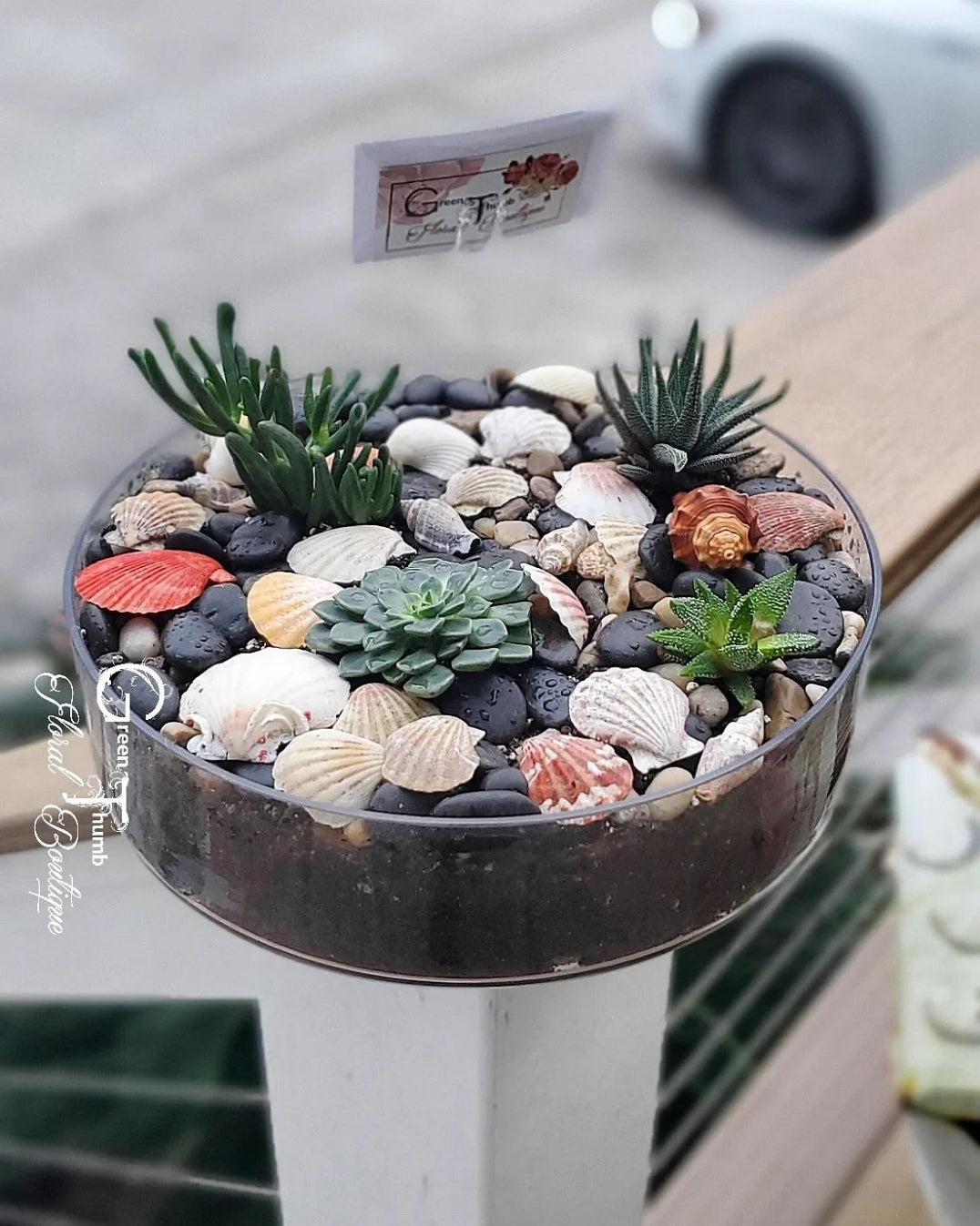 Glass Dish Garden