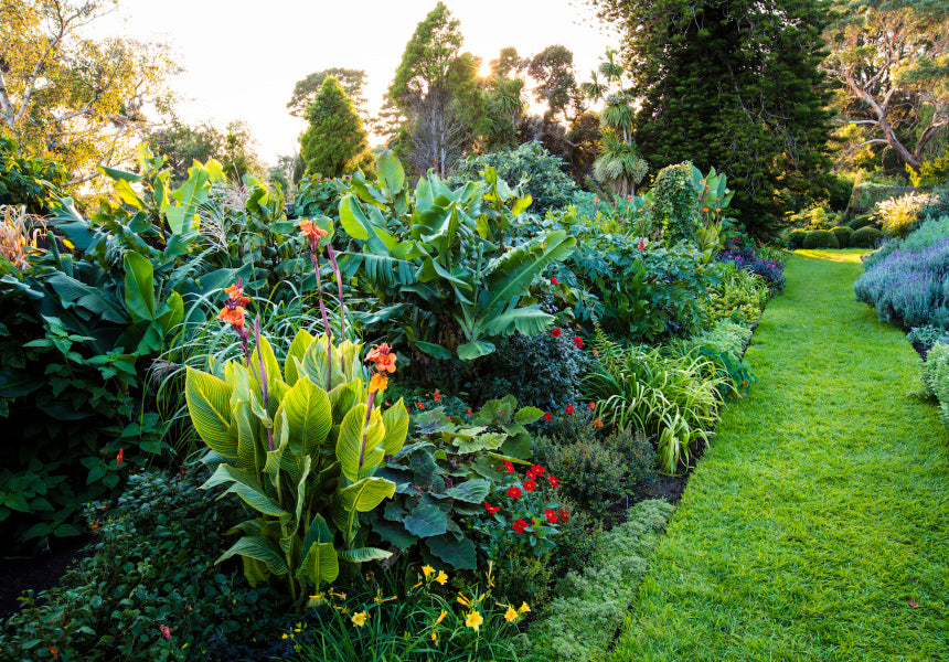 Plant/Gardening Service